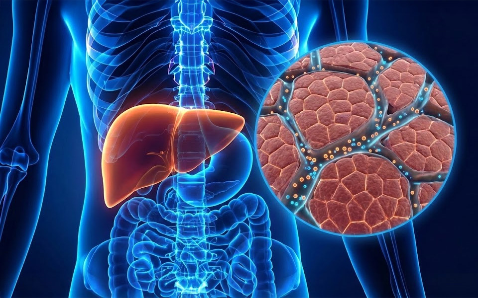 The "Triple-Action" Blood Sugar Support Americans Are Turning To in 2025