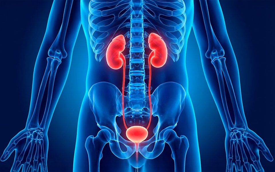 The #1 Prostate Flow Trick Helping Men 50+ Sleep Through the Night