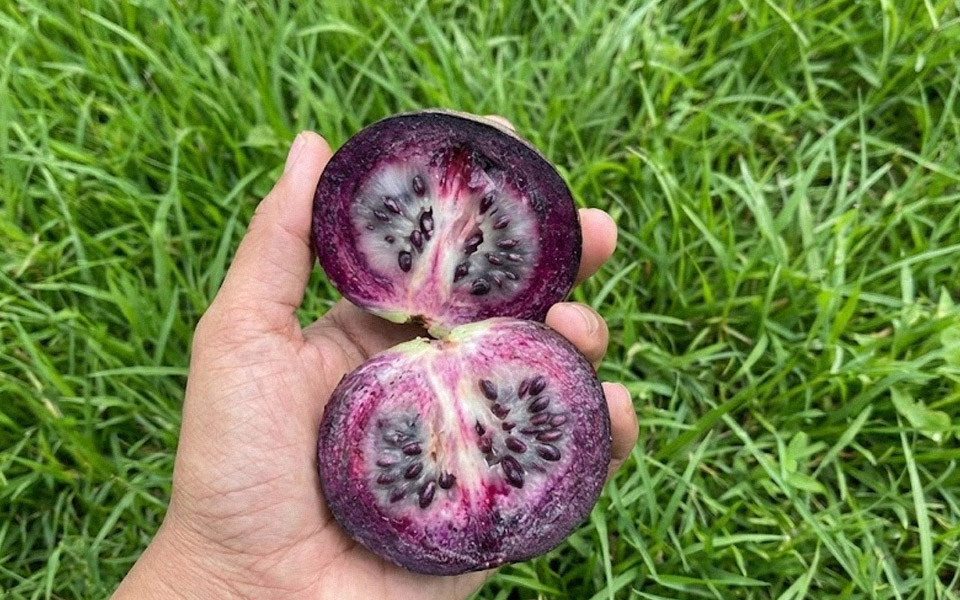 Seniors Are Losing 20, 30, Even 50+ Pounds With This Morning Ritual